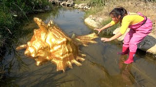 Download Lagu What a special seashell, pearls are also the most beautiful I have ever seen MP3