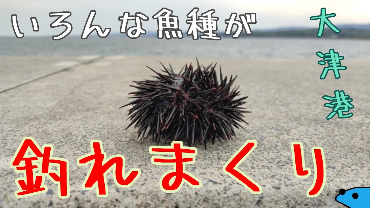 【那珂湊港、大津港】なんだかんだで大津港しか勝たん　な動画