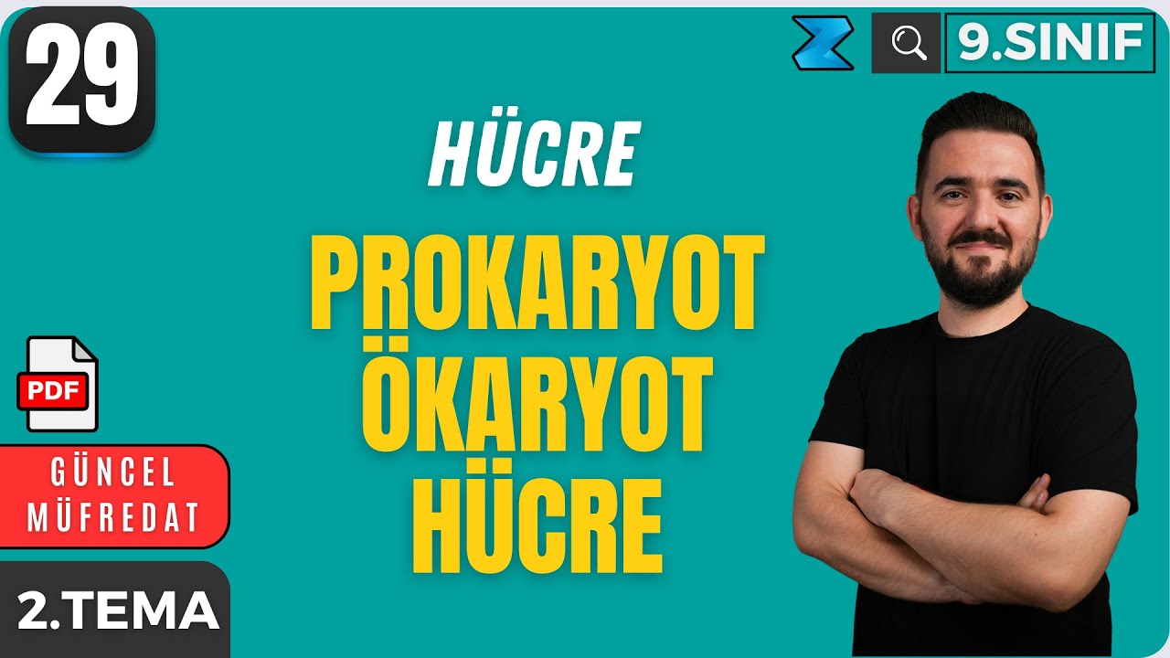 Prokaryot Ökaryot Hücre Zarı Hücre Duvarı 9. Sınıf Yeni Müfredat | Maarif Modeli | 29. Ders