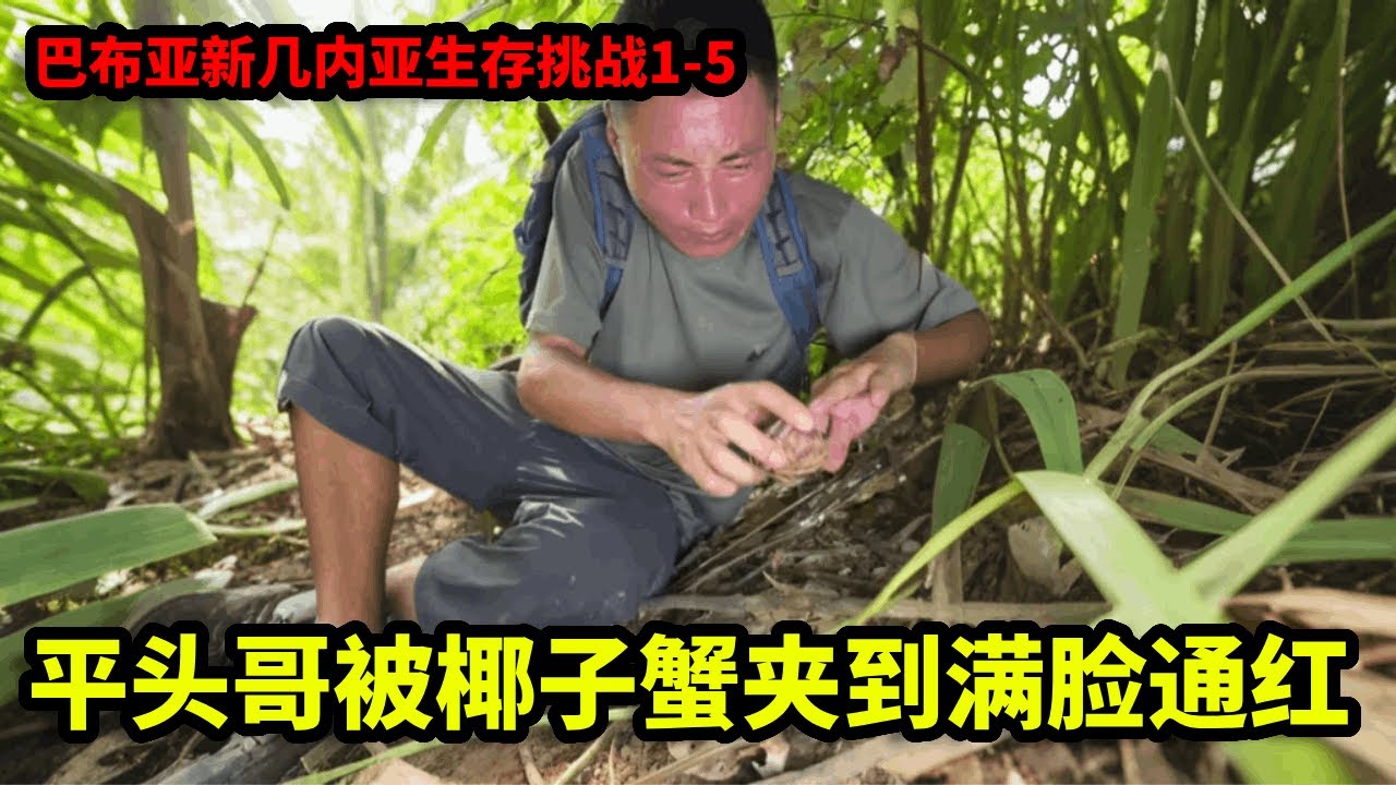 巴布亚新几内亚生存挑战1-5：来到位于太平洋西南部的一个岛屿国家，为赤道多雨气候蚊虫肆虐 ，制作新式鱼叉深入水下叉鱼！【户外平头哥】