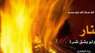 سورة الزلزلة للشيخ طارق عبد الحكيم