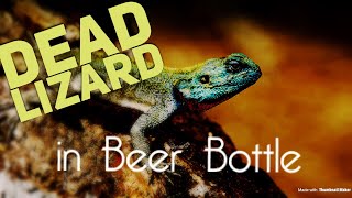 Dead lizard in Beer Bottle | Poisonous Lizard | Renowned Brand | Breaking News