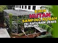 MEMBUAT HUTAN MINI DISAMPING RUMAH BERISI RATUSAN JENIS BURUNG, AWALNYA CUMA MIMPI