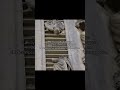 как вы относитесь к тому что почти все книги начали цензурить/запрещать ?