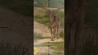 Deer hunting #wildhunting #hunting #huntingseason #youtubeshorts #shortfeed #shorts #gaming screenshot 5