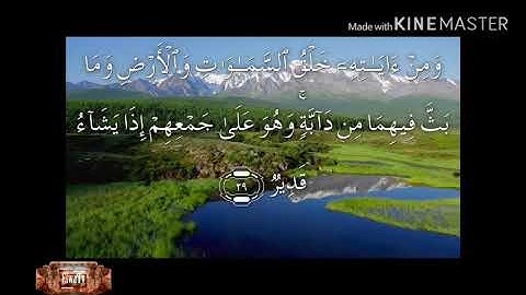 سورة الشوري*بصوت توفيق الصائغ