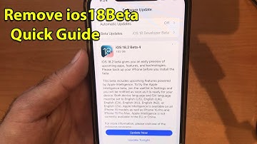 How to Remove iOS 18 Beta Update from iPhone – remove ios 18 developer beta