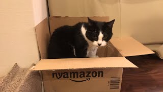 プレミアムフライデーおむすび唐突なライブ配信