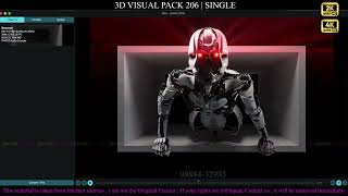 3d Visual Pack 206 | Single