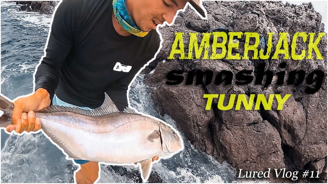 SERVIOLA se come Bacoreta!! Y la sacamos!! | Lured Vlog 11