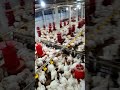 semi ec farm