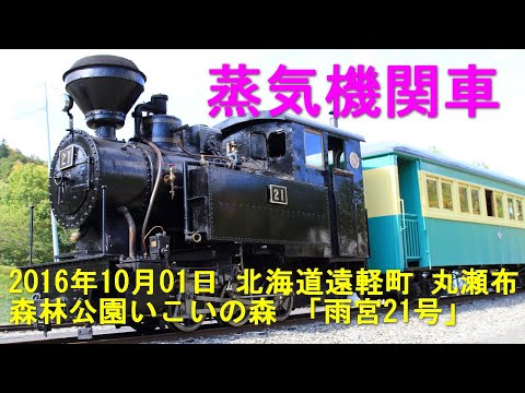 雨宮21号 北海道遠軽町 丸瀬布 森林公園いこいの森森林鉄道蒸気機関車