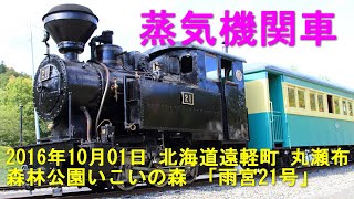 雨宮21号 北海道遠軽町 丸瀬布 森林公園いこいの森森林鉄道蒸気機関車