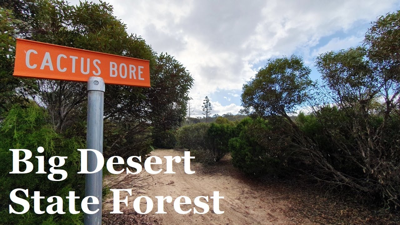 Free Camping at Cactus Bore, Big Desert State Forest, Mallee, Victoria, Australia YouTube