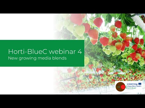 Video: Green strawberries: description, distribution, mineral content