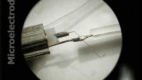 Microelectrode Assembly