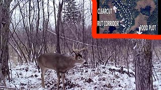 Top 3 Reasons to Hunt a Swamp Island