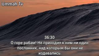 СУРА ЯСИН С ПЕРЕВОДОМ Quran sura Yasin