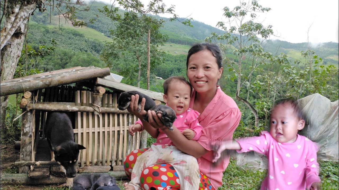 Wind and rain blows the fence, squashes, spoiled melons, baskets of