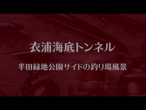 半田緑地の釣り場情報【Fishing complesso 東海の釣り場情報】