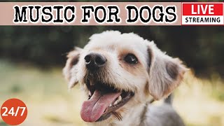 [LIVE] Dog Music🎵Dog Calming Music for Dogs🐶Anti Separation anxiety relief music💖Dog Sleep Music 1-3