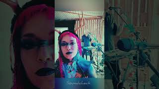 Our adventures at Alice's Wicked Tea Party Festival #ukfestivals #goth #electronicmusic