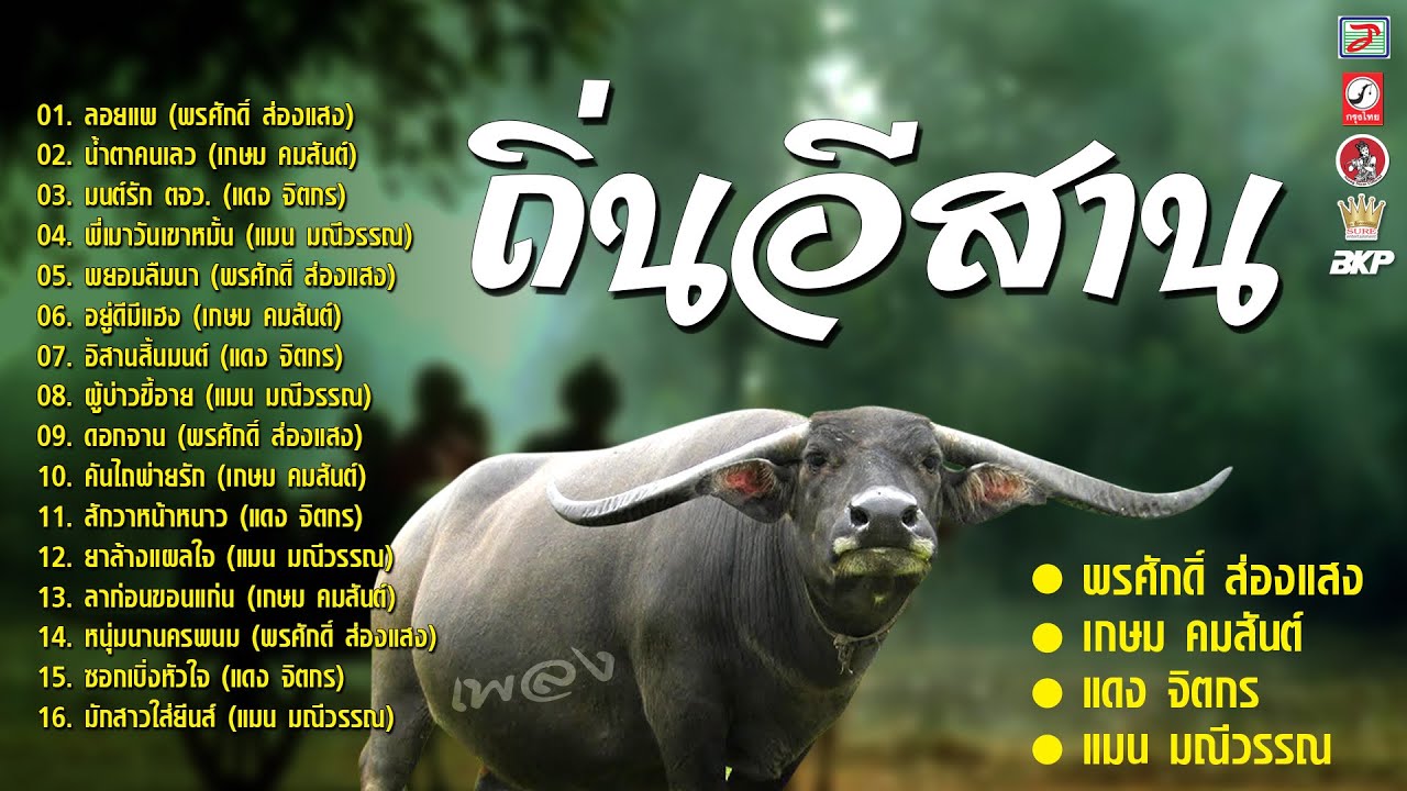 ถิ่นอีสาน...เพลงเพราะๆ [ ลอยแพ - น้ำตาคนเลว - มนต์รัก ตจว. - พี่เมาวันเขาหมั้น ]