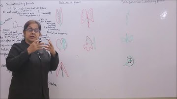 Bio-XI-5-09  Dry fruits,  By Sunanda Ahuja,  Pradeep Kshetrapal Physics channel