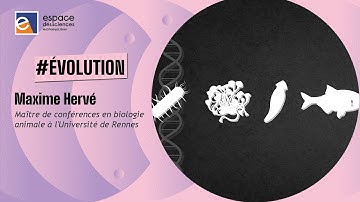 🧬 [Maxime Hervé] L