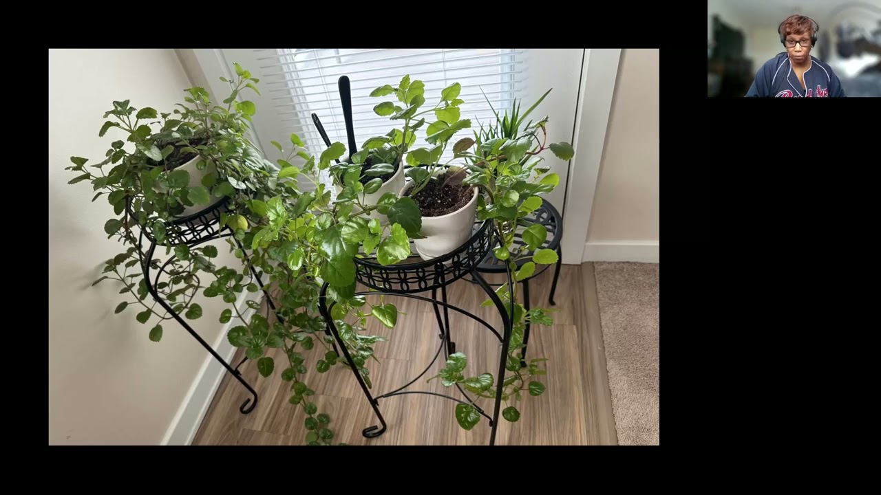 Grace & Growth - Let's Talk