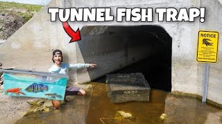 FISH TRAP Catches TONS Of FISH Inside HIDDEN TUNNEL!! *crazy exotic feeding*