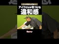 会話中の違和感… #矢作とアイクの英会話 #矢作兼 #アイクぬわら