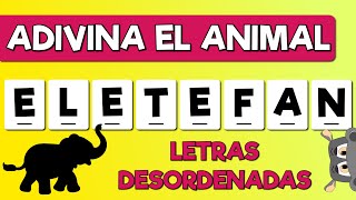 ¿PUEDES reconocer QUÉ ANIMAL ES? 🤔🧠 Test de Animales ✅ desafío mental Hipoclips