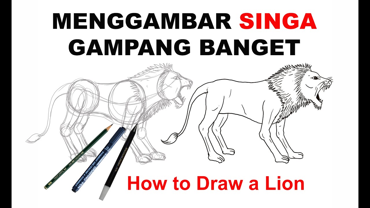  Cara  Menggambar  Singa  Mengaum How to Draw a Lion YouTube