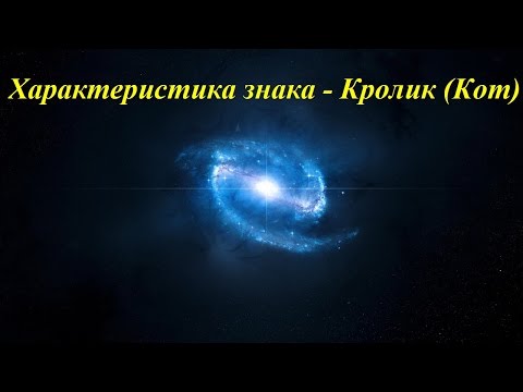 Характеристика знака - Кролик (Кот)