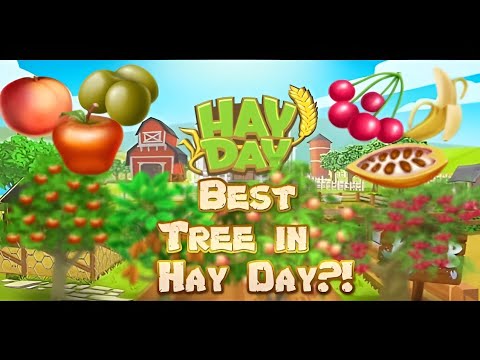 HAY DAY - MOST PROFITABLE TREE IN HAY DAY!? (APPLE, LEMON, BANANA, ORANGE...)