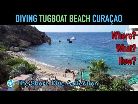 Video: Beste Tauchen, Restaurants, Bars In Curacao