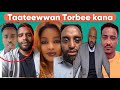 Taateewwan torbee kana 