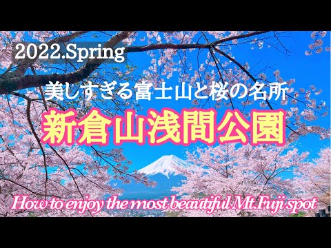 SUB】Japanese most beautiful cherry blossoms spot around Mt