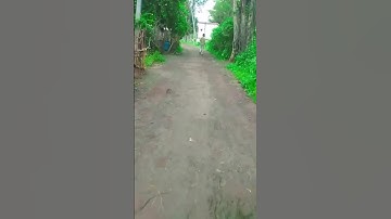 mini my first vlog #minivlog  #myfirstvlog #vlog #firstshortvideo #shorts #shortsvlog #vlogvideo