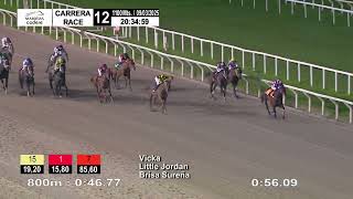 Vidéo de la course PMU WADORA (2023)