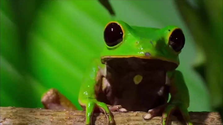 clip of OUR PLANET: OUR BUSINESS