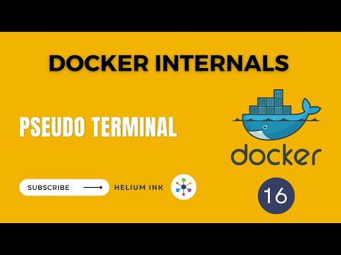 Pseudo Terminal - Docker Internal - 16/19