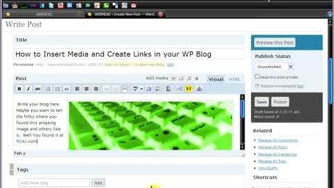 Webhead20: Uploading Photos into Your WordPress v.2.7 Blog