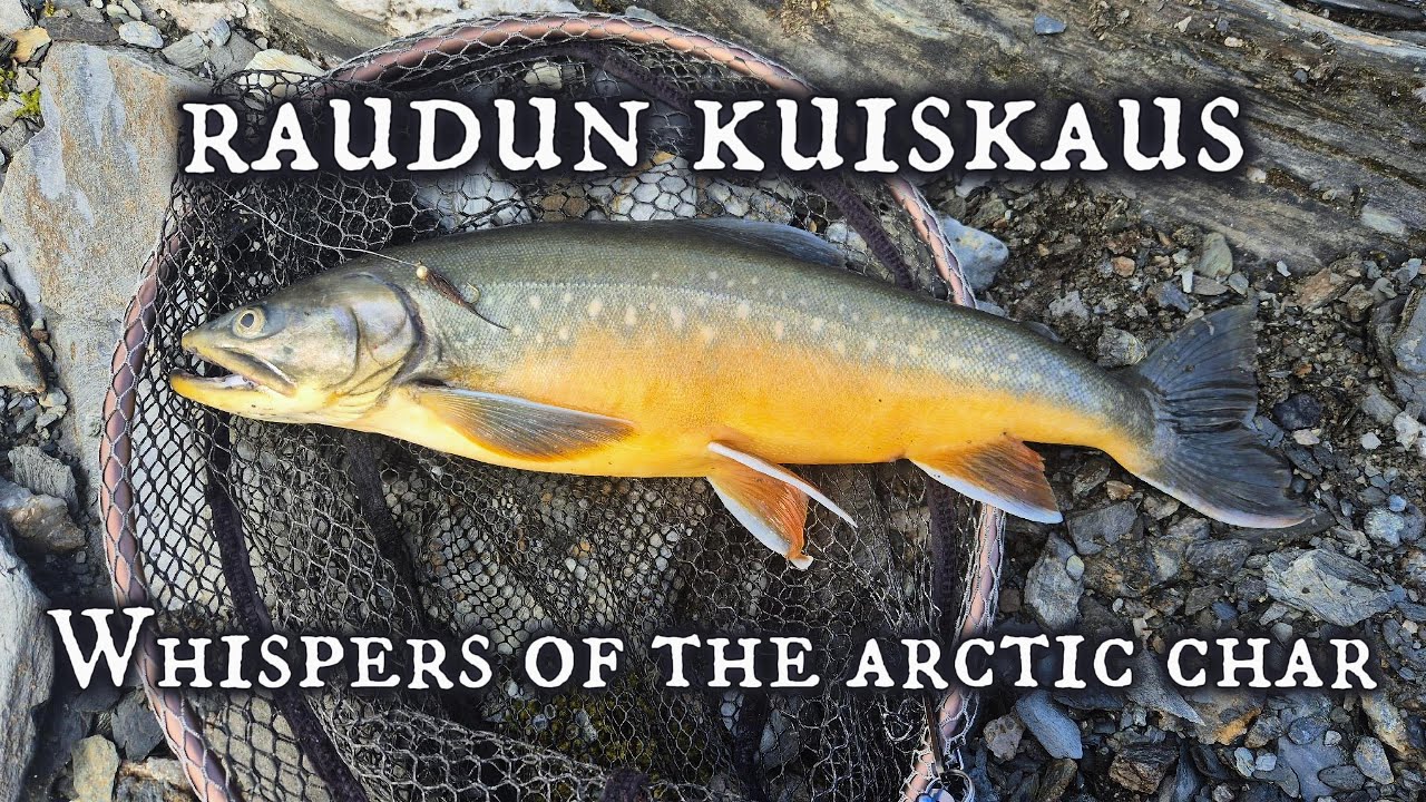 Моя первая в жизни арктическая рыба!