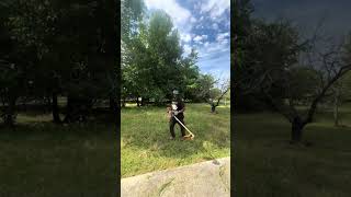 Yard Cleanup Transformation You Need to See