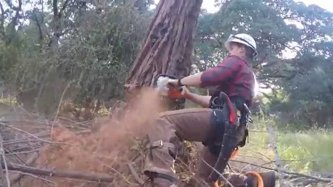 Opening A Beer With a Chainsaw YouTube