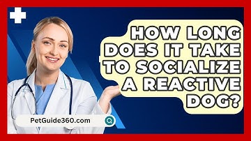 How Long Does It Take To Socialize A Reactive Dog? - PetGuide360.com