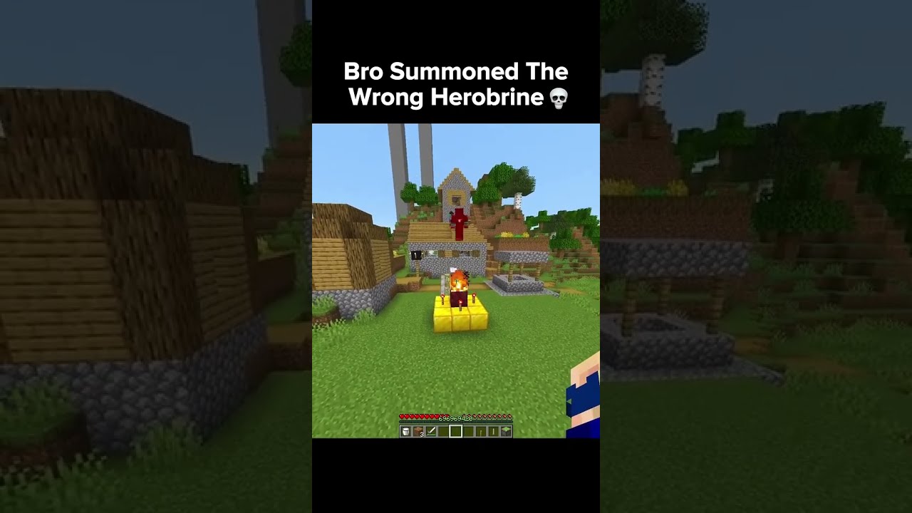 Bro Summoned The Wrong Herobrine 