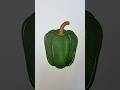 Green pepper Coloring #asmr #asmrsounds #asmrvideo #colorwithme #colorwithnikki